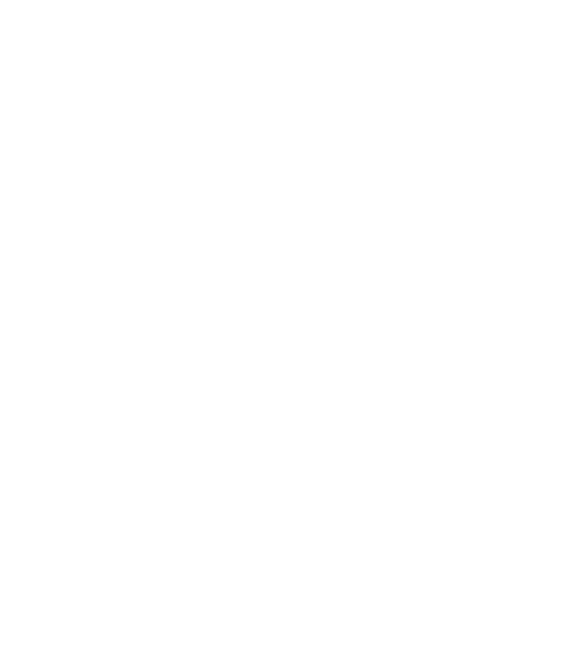 Birdview logo
